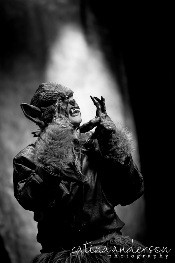 Northern_Virginia_Theatre_Photography-
