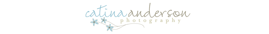 catinaanderson.com logo
