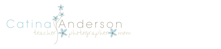 catinaanderson.com logo